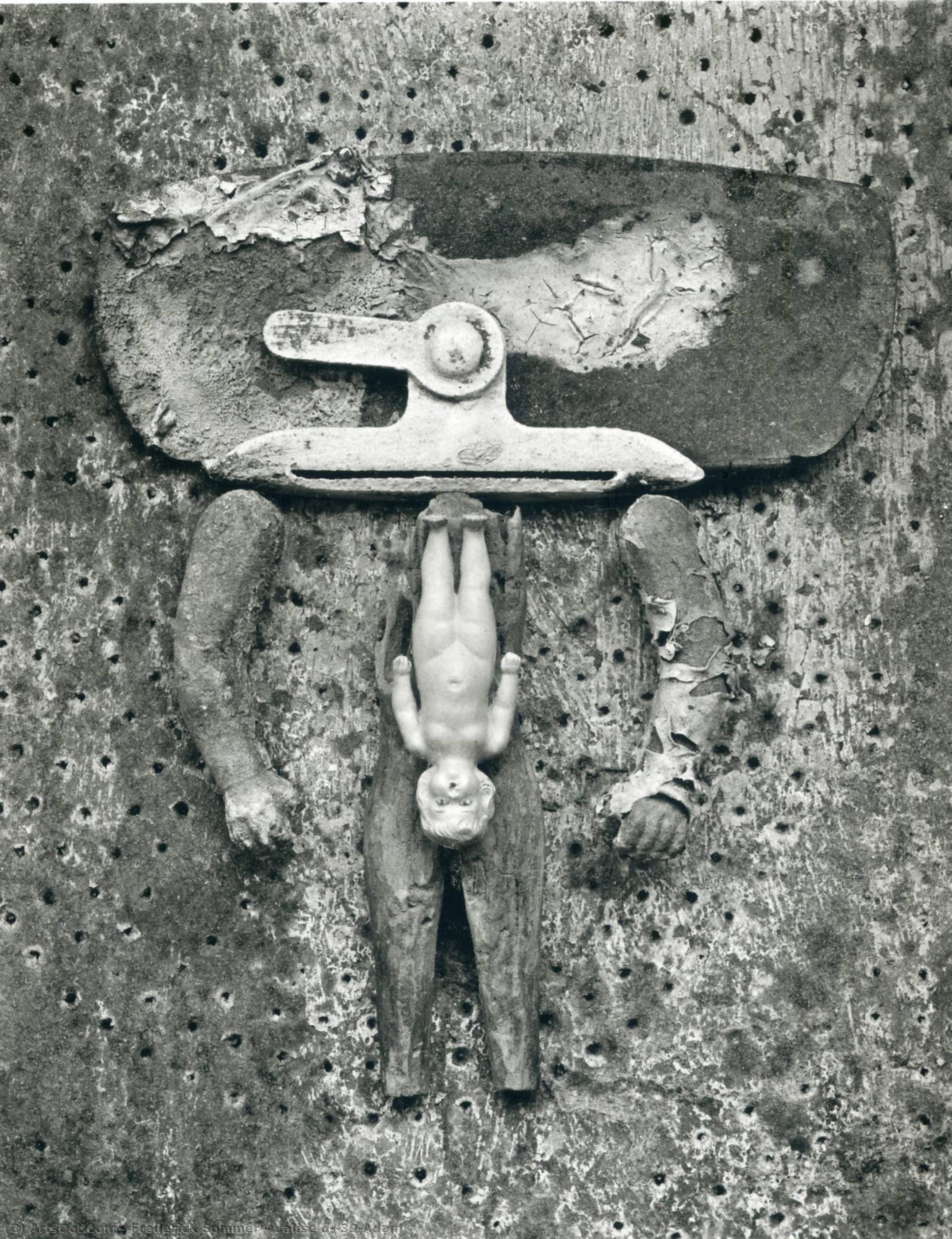 Valise D'adam — Frederick Sommer