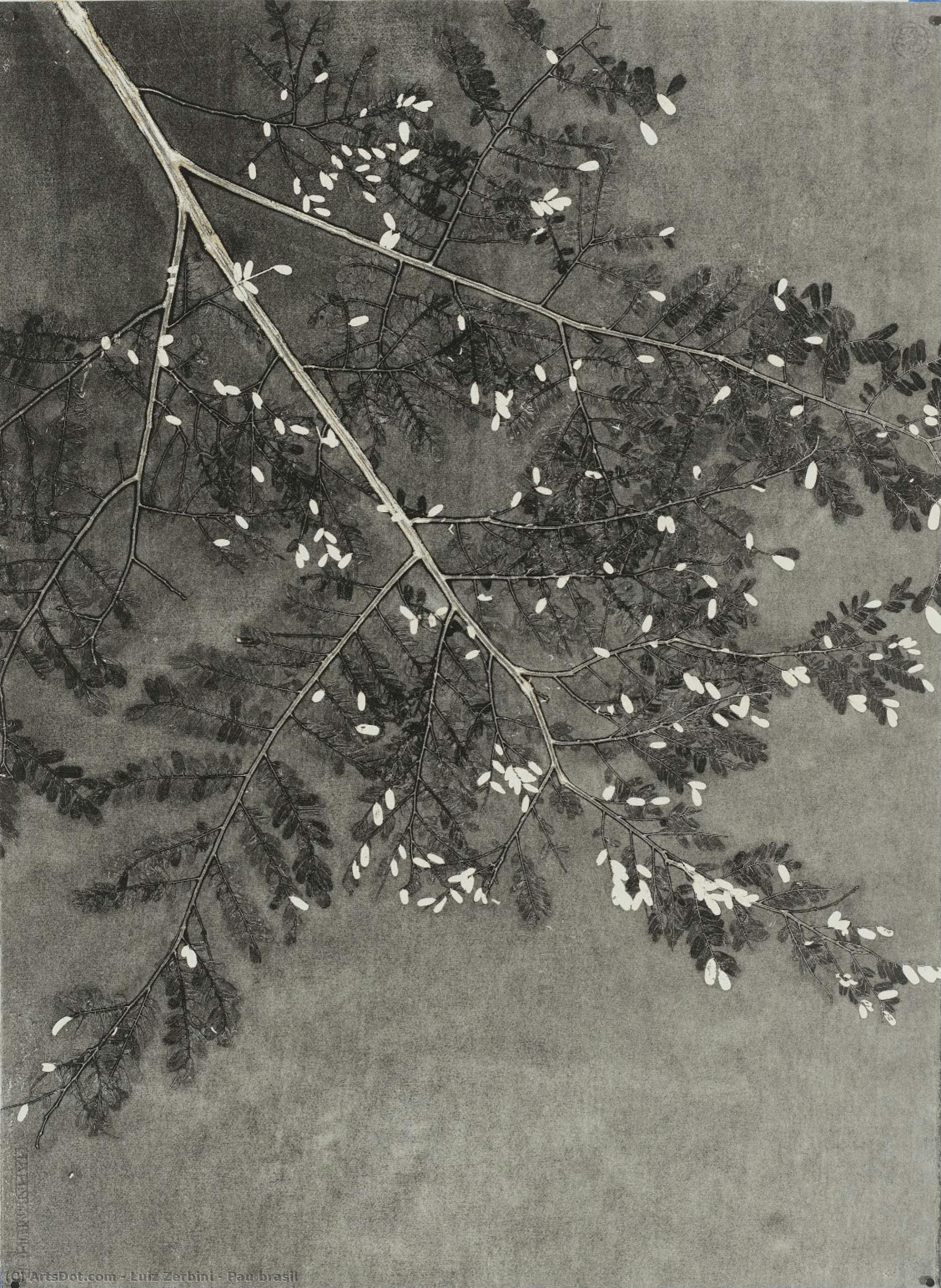 Pau Brasil — Luiz Zerbini
