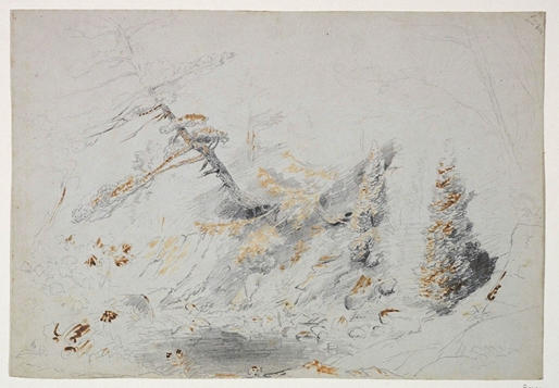 Trees Overhanging A Pool — Thomas Cole