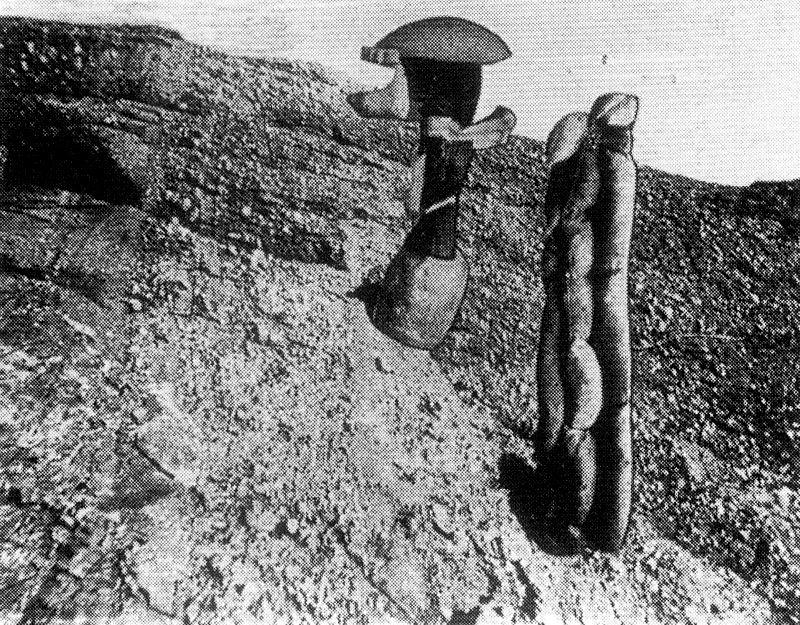 Sambesiland — Max Ernst