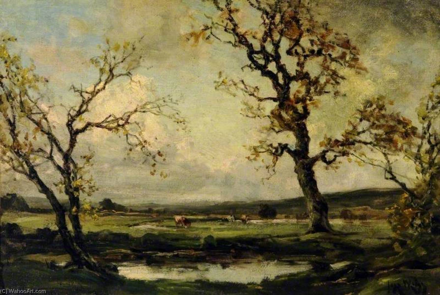 A Sunlit Cloud — José Weiss