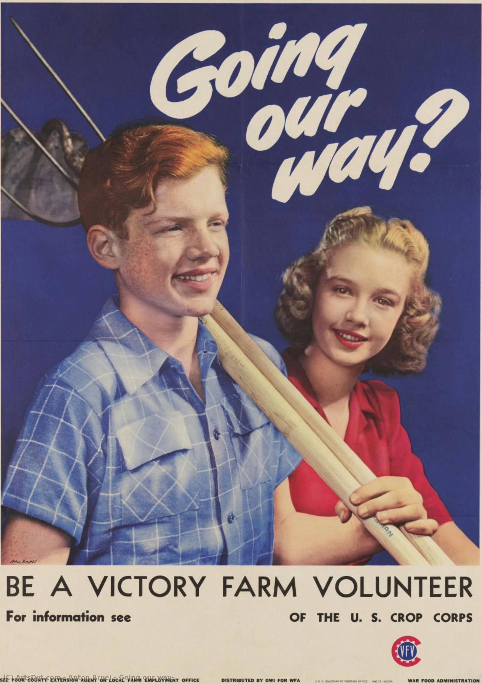 Going Our Way? — Anton Bruel