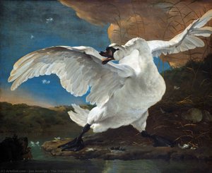 The Threatened Swan — Jan Asselijn, Dutch Golden Age