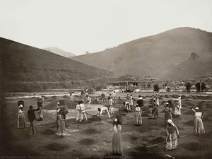 Slaves On A Coffee Farm At Vale Do Paraíba, Rj. Brazil — Marc Ferrez