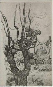 A Bare Treetop In The Garden Of The Asylum — Vincent Van Gogh, Post-impressionism