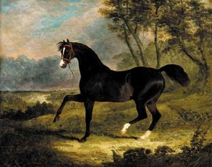 Camel, A Dark Bay Racehorse In A Landscape — जॉन फ्रेडरिक हेरिंग सीनियर, Animal Painting