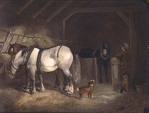 A Stable Interior