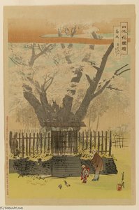 Nihon Hana Zue - — Ogata Gekko