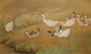 Ducks — Toho Hirose