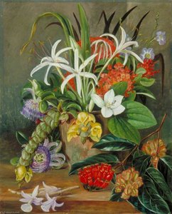 Group Of Cultivated Flowers — Marianne Northová, Victorian Botanical Painting