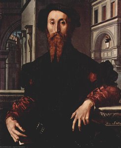 Portrait Of Signor Panciatichi Bartolomeo — Agnolo Bronzino