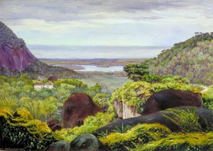 View Near Tijuca, Brazil, Granite Boulders In The Foreground — 玛丽安·诺思, Victorian Botanical Painting