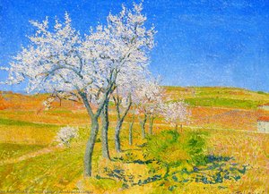 Alrededores Cailhau — Achille Laugé