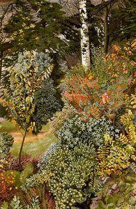 Scène De Jardin. Port Glasgow — Sir Stanley Spencer