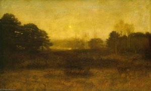 'the Moon Is Up, And Yet It Is Not Night'