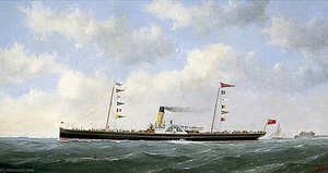 The Steamship 'carrick Castle' — George Mears