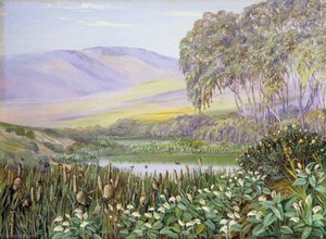 Social Birds And Social Herbs At Malmesbury, South Africa — ماريان نورث, Victorian Naturalism