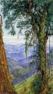 View From Rungaroon Near Darjeeling, India — Маріанна Норт, Victorian Naturalism