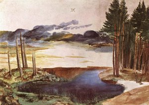 Pondolo Nel Bosco — Albrecht Dürer, German Renaissance