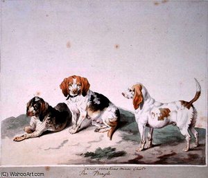 The Beagle — Sydenham Teast Edwards