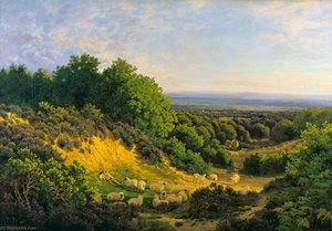 The Evening Sun View on Ewhurst Hill, near Guildford
