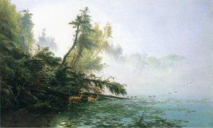 Misty Morning On Racket Lake