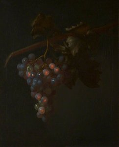 A Bunch Of Grapes — Tobias Stranover