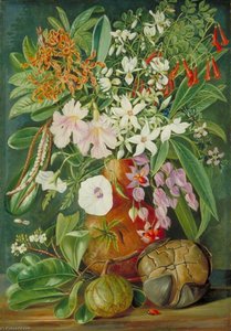 A Selection Of Flowers, Wild And Cultivated, With Puzzle Nut, Mahé — Мариан Норт, Victorian Botanical Painting