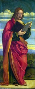 A youthful saint reading