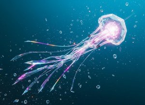 Luminescence Of The Prismatic Medusa — Hélène Dubois, Fantasy Art