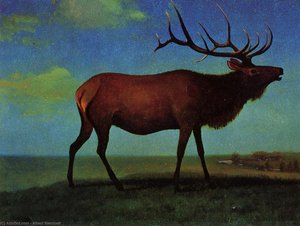 Elk — Albert Bierstadt