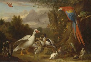 A Macaw, Ducks, Parrots And Other Birds In A Landscape — Jakab Bogdány, Dutch Golden Age