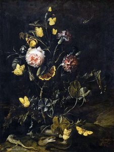 Flowers, Insects and Reptiles