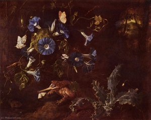 Blue Morning Glory, toad and insects