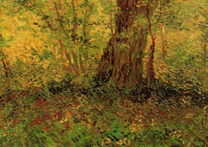 Undergrowth — 文森特·梵高, Post-impressionism
