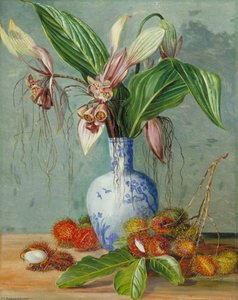 Flowers Of Tacca And Bristly Fruit Of The Rambutan — Marianne Northová, Realism