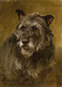Head Of A Deerhound — Robert L Alexander