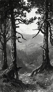 Adirondack Landscape, (painting) — Ralph Albert Blakelock