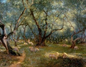 Olives of St Rocco