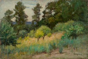 Springtime In The Forest-the Orchard — Теодор Клемент Стілл, Impressionism