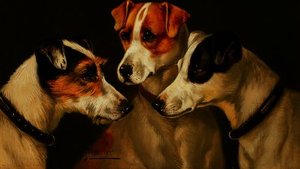 The hounds