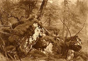 Study Of Wood Interior, (painting) — Asher Brown Durand