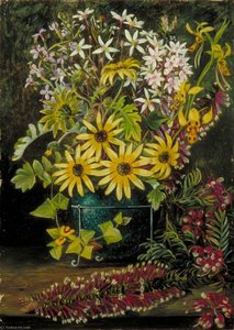 Fleurs Sauvages Du Victoria Et De La Nouvelle-galles Du Sud — Marianne North, Galerie Marianne North