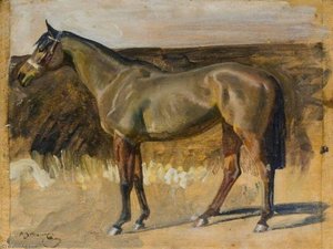 Studio Di Una Cavalla Da Caccia (recto) — Sir Alfred James Munnings