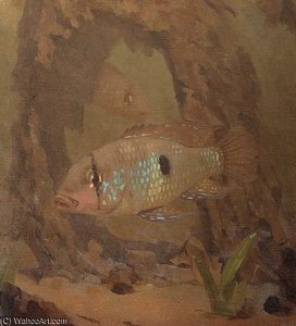 Parelmoervis