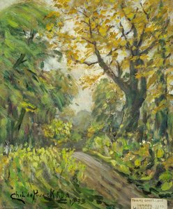 Tommy Cook's Lane, Lawrence Street, Mill Hill