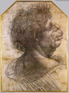 Grotesque Head — Leonardo Da Vinci