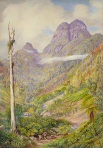 The Highest Point In Mahé With Dead Capucin Trees In The Valley — Marianne North