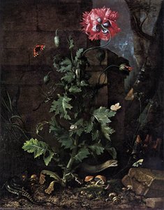 Still-life With Poppy, Insects, And Reptiles — Otto Marseus Van Schrieck, Dutch Golden Age