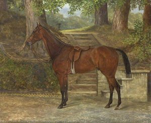 'nickname', A Saddled Bay Hunter, By Steps — Herbert D Atkinson